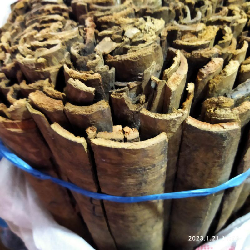 

Masohi 100gr Kulit Kayu Masoyi Mesoyi