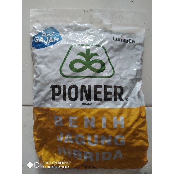 bibit jagung P27 LUMIGEN 1kg