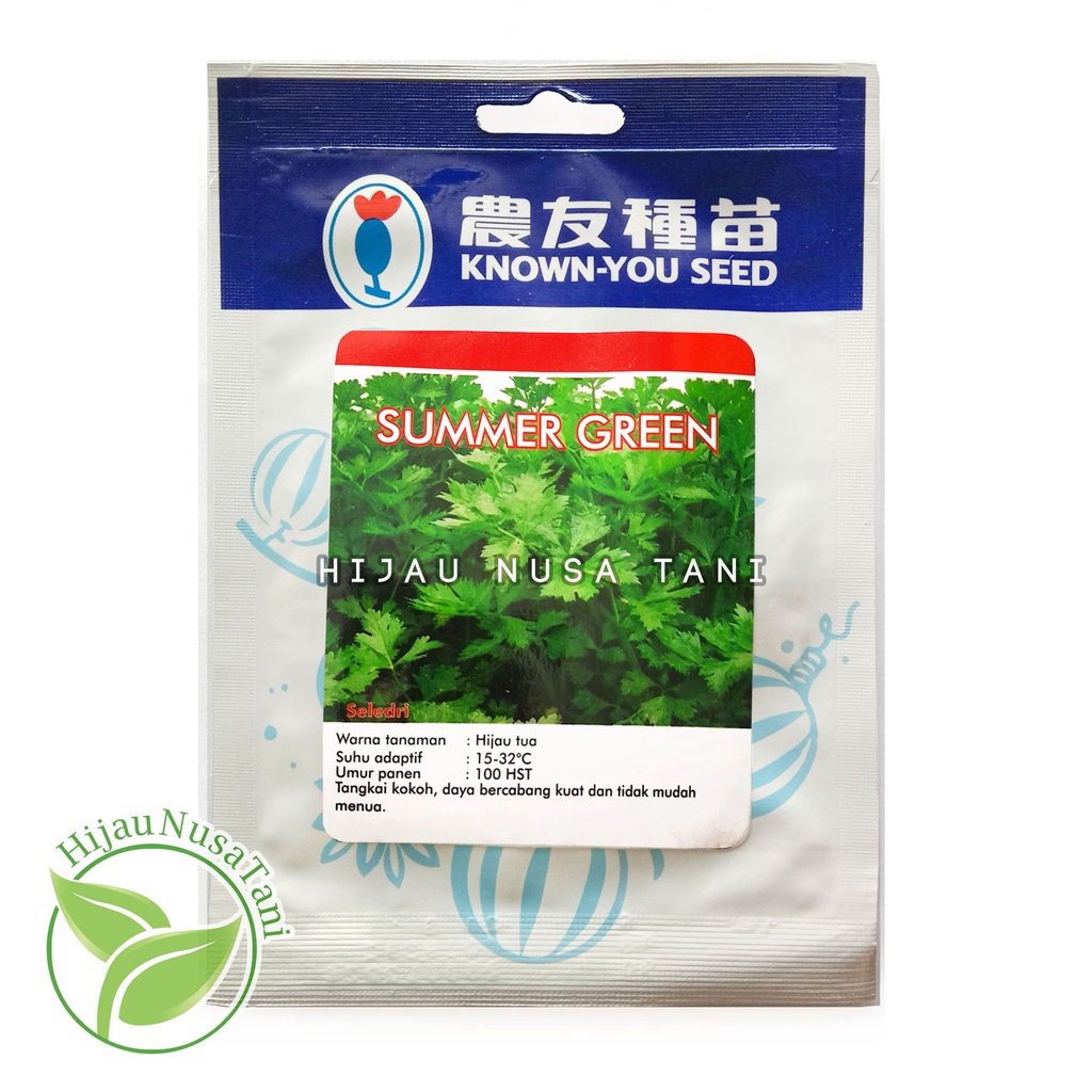 Benih Seledri SUMMER GREEN [ 10 Gram ] KNOWN YOU SEED - unggul hibrida kemasan packing asli original