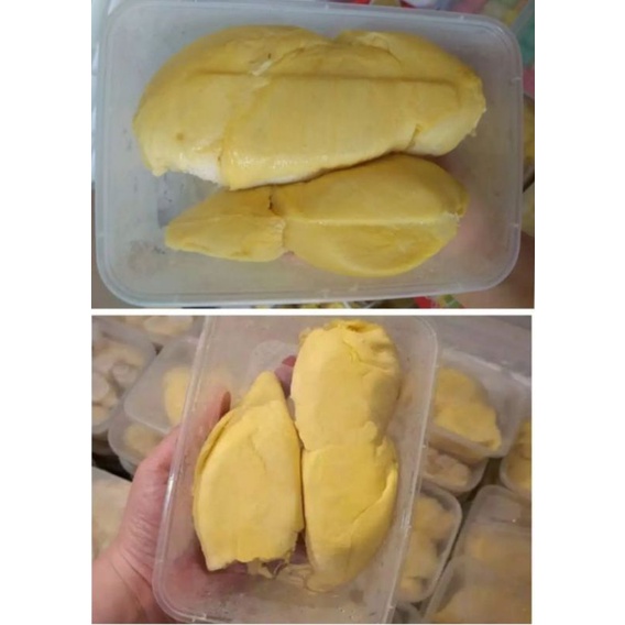 

DURIAN MONTONG