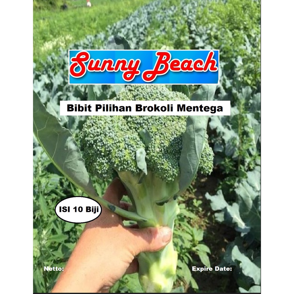 Bibit Pilihan Brokoli Mentega|Biji Benih Brokoli Mentega|Sayur Brokoli