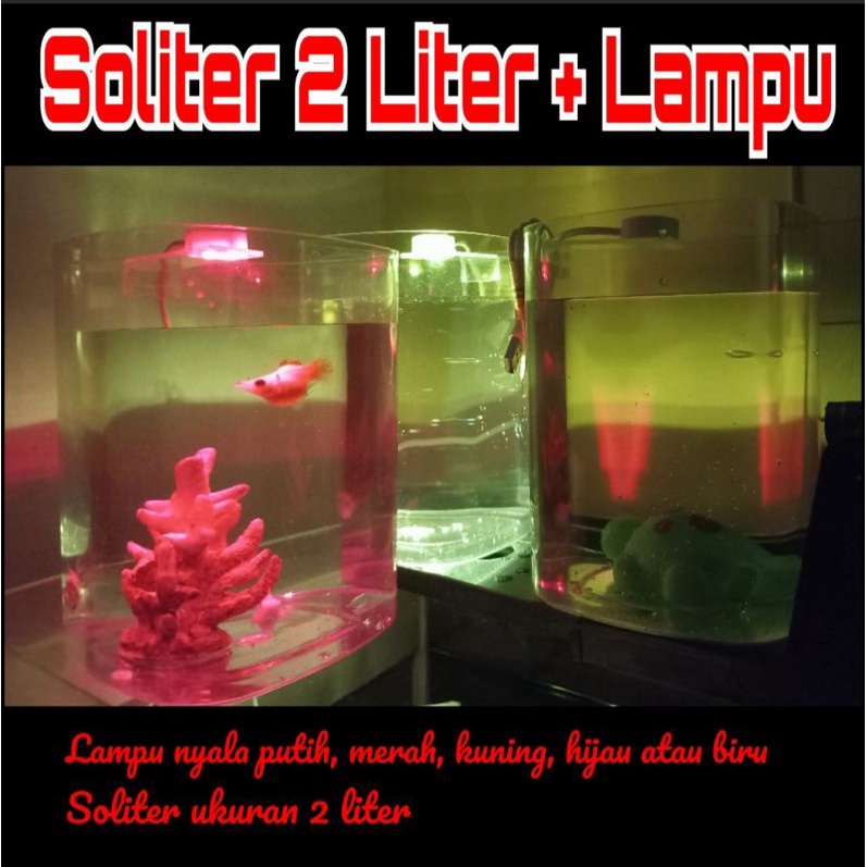 Toples iklan cupang akrilik 2 liter