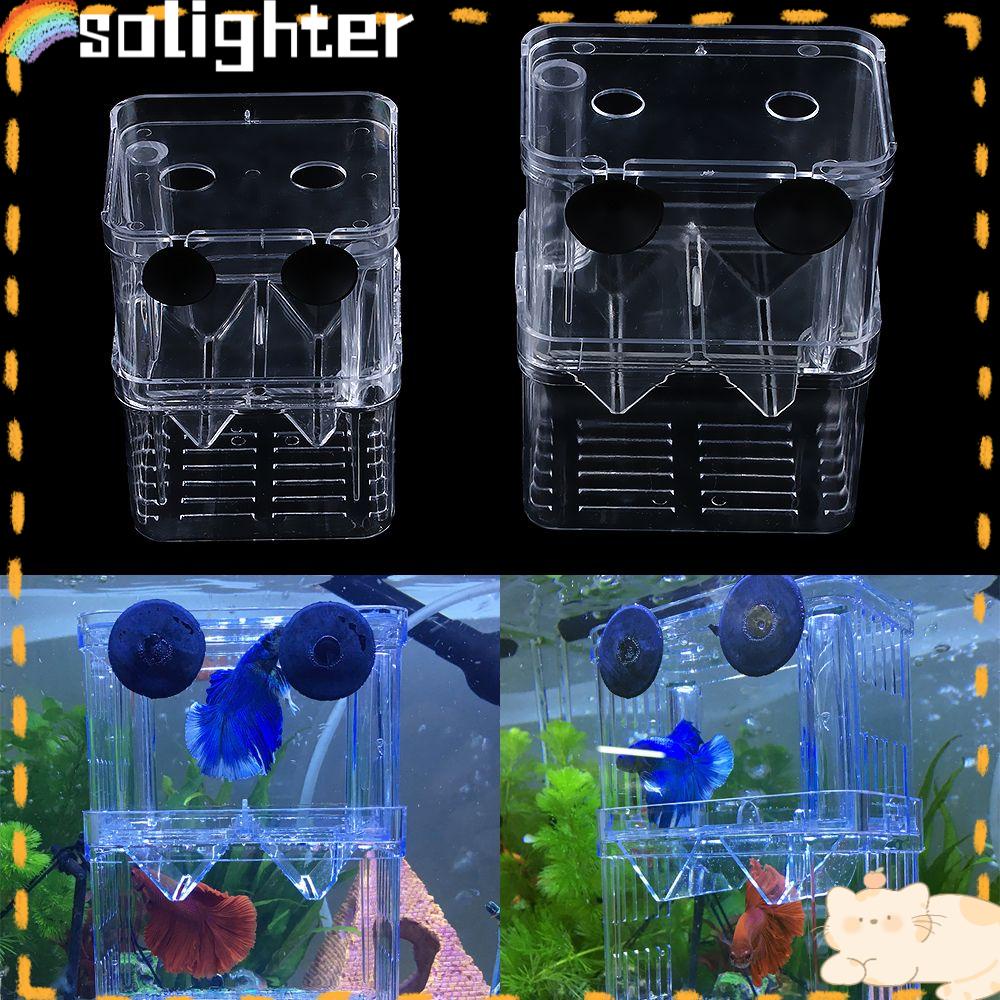 Solighter Kotak Pembibitan Ikan Sekat Akrilik Berguna Hatching Case Double-Deck Isolasi Aquarium