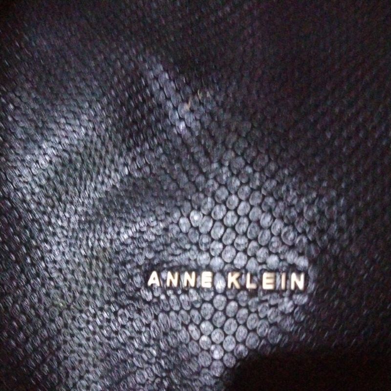 tas Anne Klein