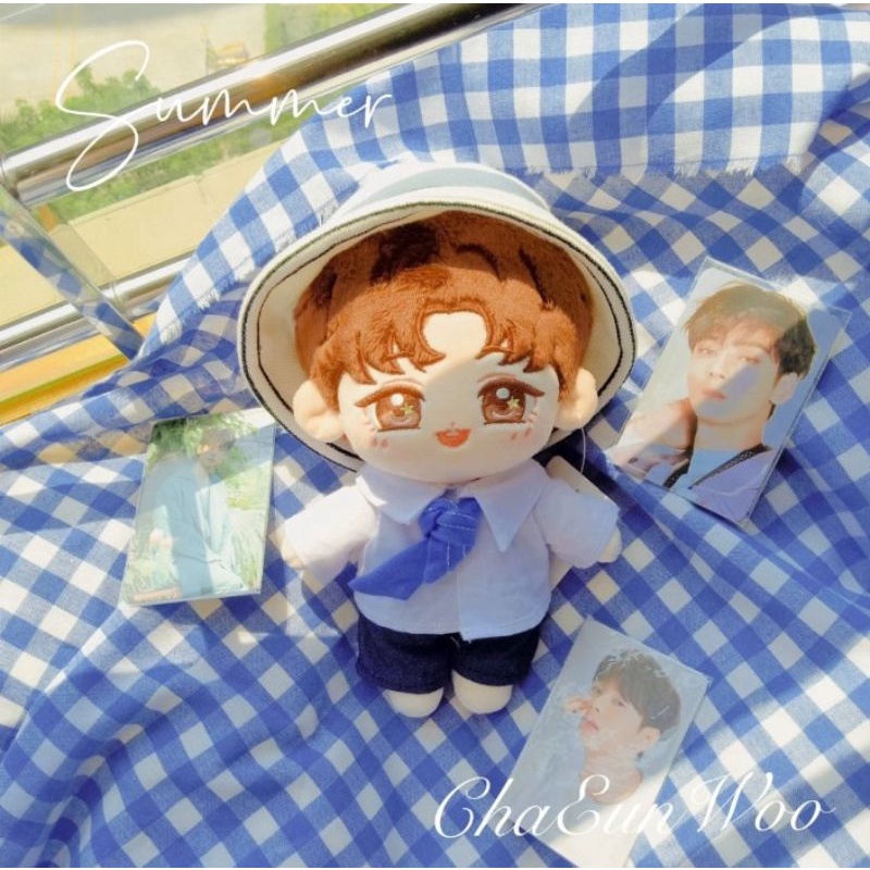 [ready stok] bisa langsung co eunwoo doll Cha Eun woo astro Oppa doll 20 cm harap chat lebih dulu un
