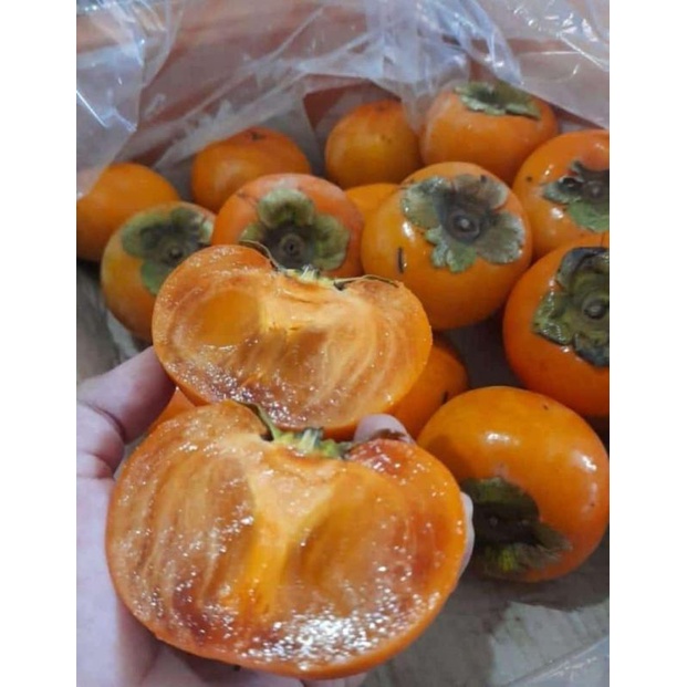 

PERSIMMON/KESEMEK IMPORT PREMIUM
