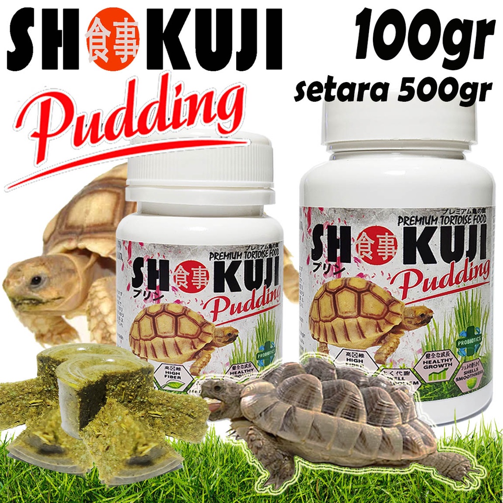 SHOKUJI PUDDING PARDALIS SULCATA INDIAN STAR MAKANAN INSTAN FOOD GEL TORTOISE KURA DARAT INDIAN STAR
