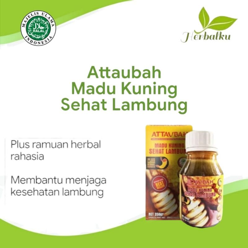 

attaubah madu kuning sehat lambung