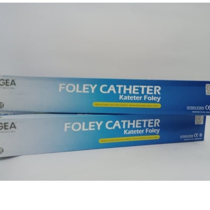 Folley catheter latex 2 way GEA