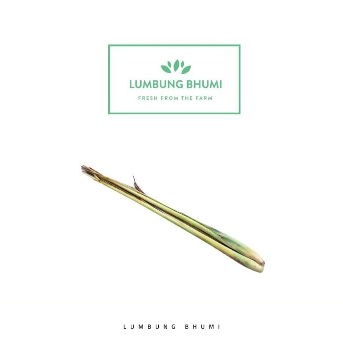 

Batang Serai Besar Sayur 100 Gr - Lumbung Bhumi