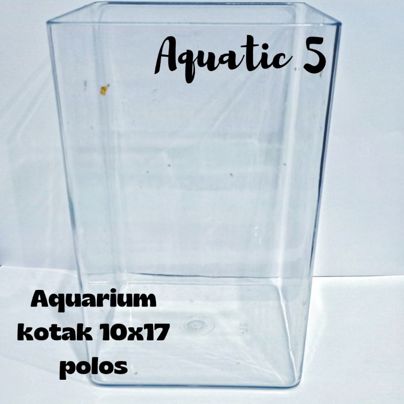 Aquarium Kotak 10cm x 17cm Polos