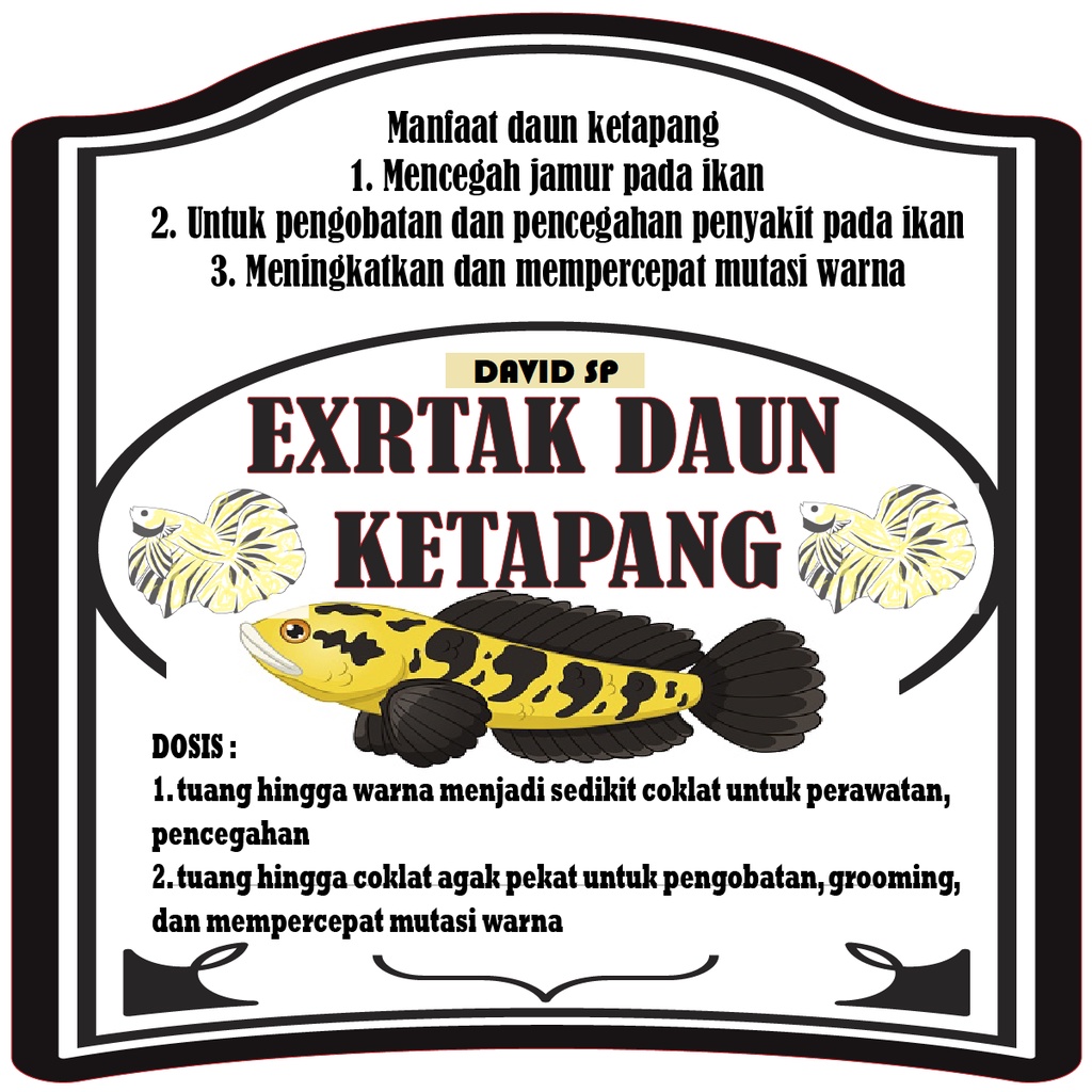 ekstact ketapang murni 100%