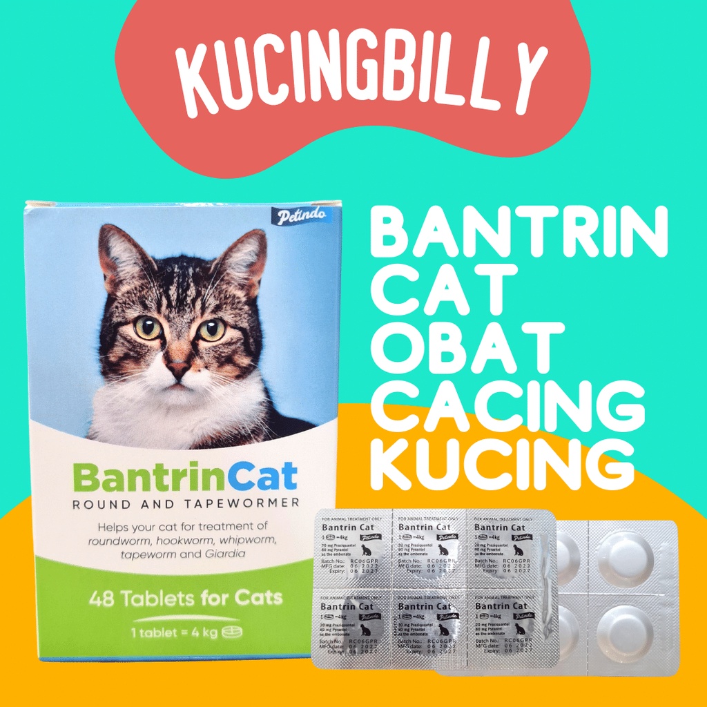 BANTRIN CAT obat cacing kucing per tablet