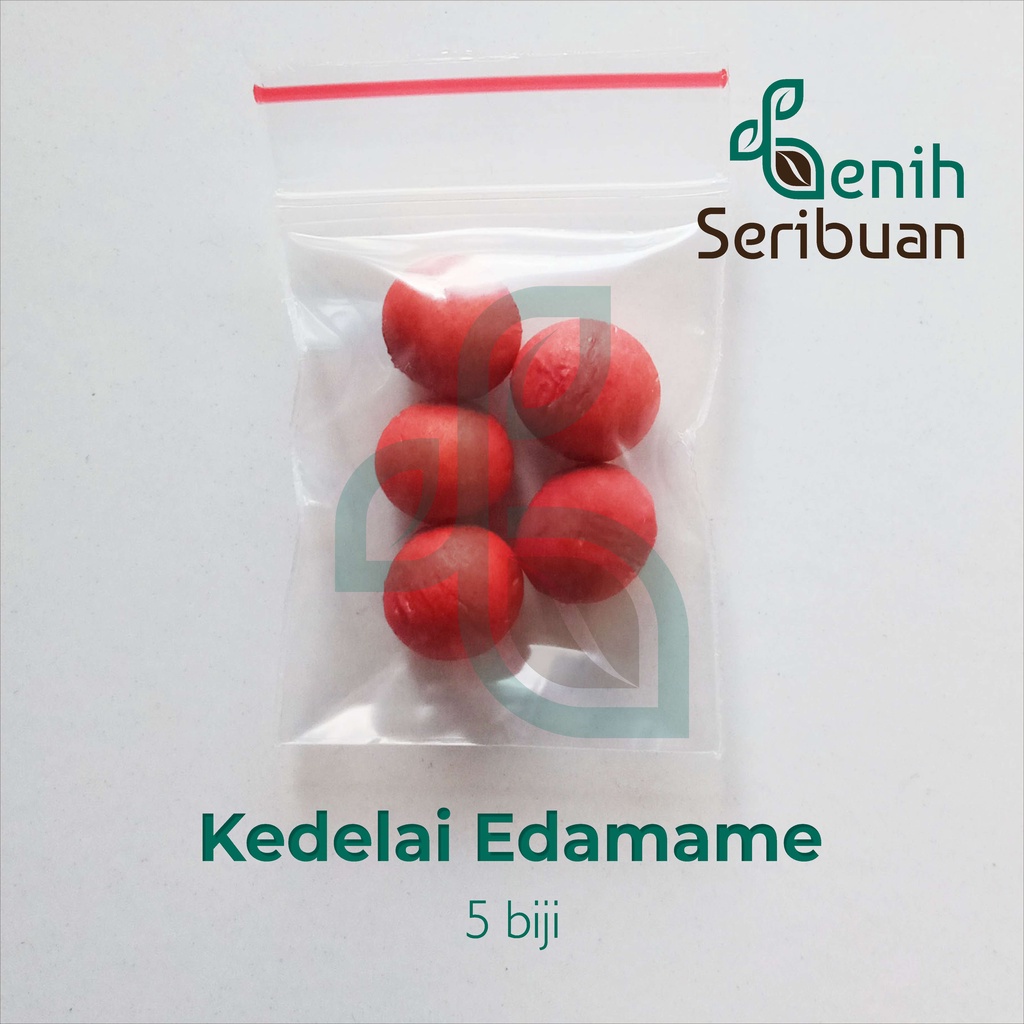 Benih Seribuan - 5 Bibit Sayuran Kedelai Edamame Unggul