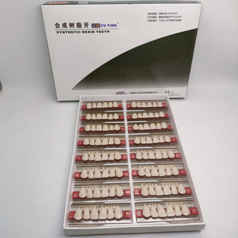 gigi palsu akrilik depan atas /bawah anterior caiyu per box isi 16 pcs