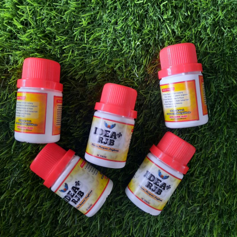 idea + rjb - khusus merpati angkrem