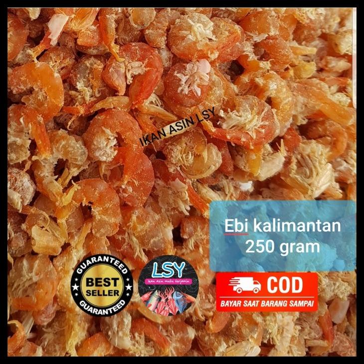 

EBI KALIMANTAN SUPER KODE 238