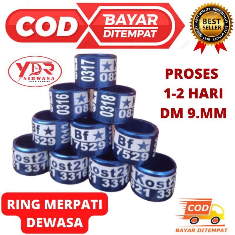 RING MERPATI DEWASA UK 9MM