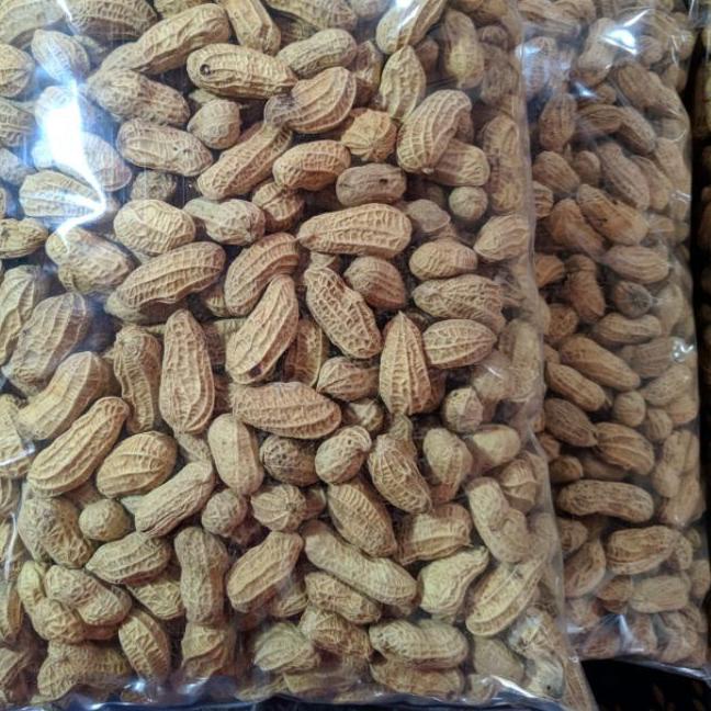 

COD[KI3]-KACANG KULIT SANGRAI 1KG/KACANG BAKAR 1KG/ KACANG RENYAH/ KACANG MURAH/KACANG KILOAN/AGEN SNACK