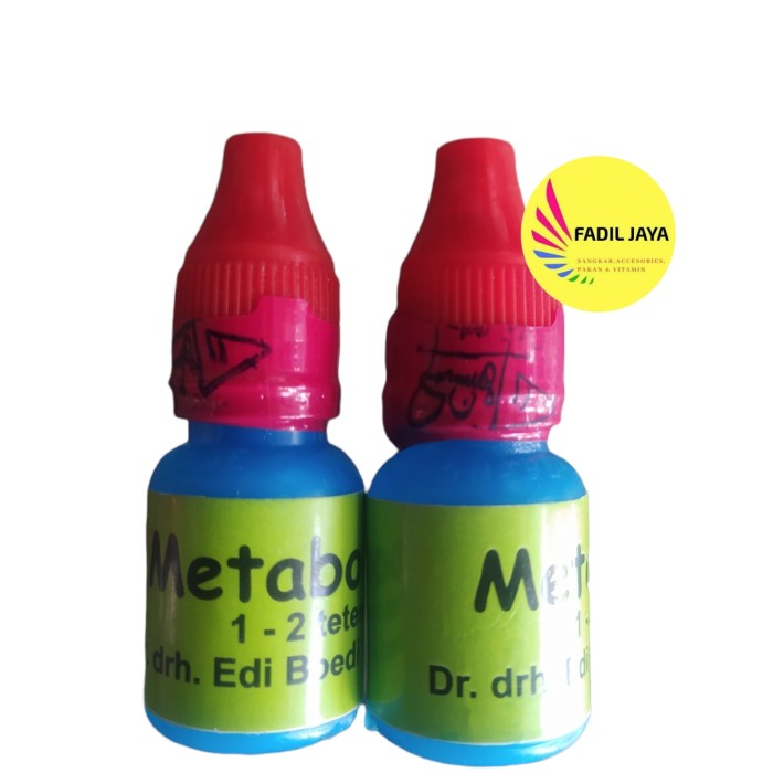 Ovik Metabolisme Segel Merah