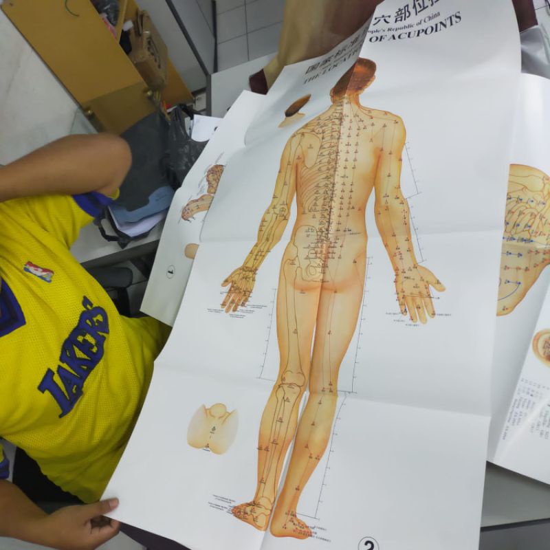 Gambar Titik Akupuntur / Poster Akupuntur Pria Isi 3 Set