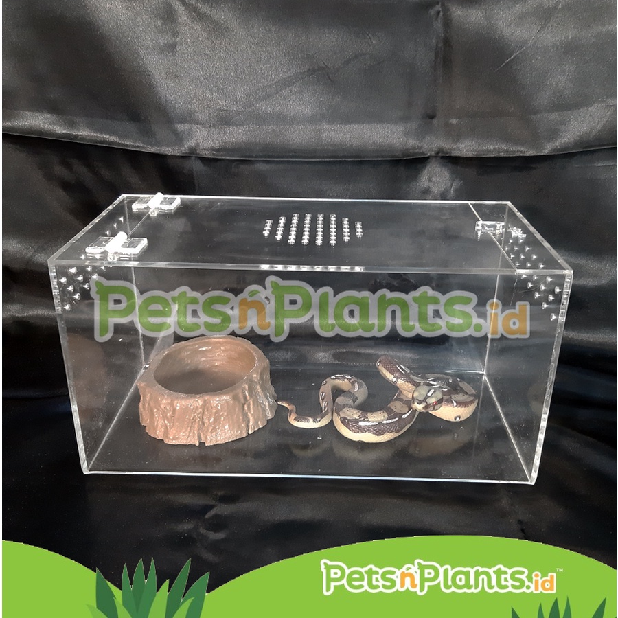 PnP Akuarium Reptil Akrilik - Kandang Ular Gecko Tarantula 30x15x15cm