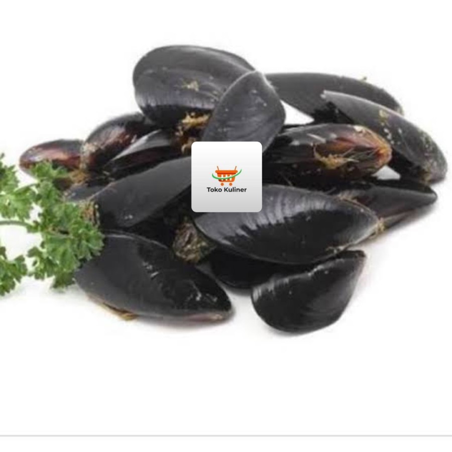 

BLACK MUSSEL / KERANG HITAM