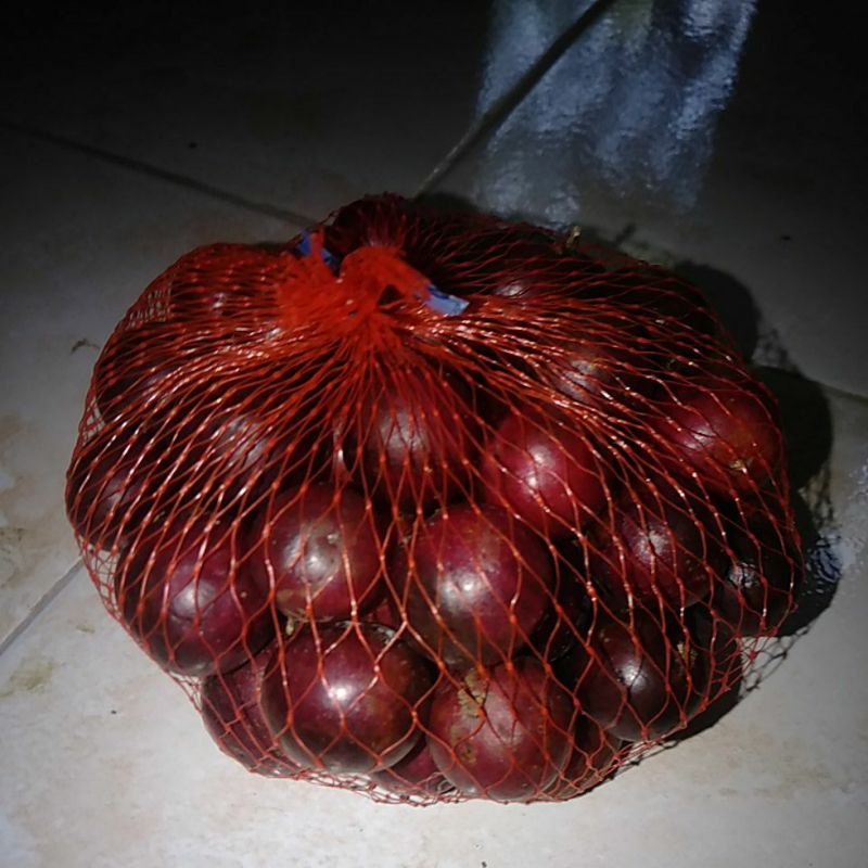 

Buah Rukem Rokam 250 gram