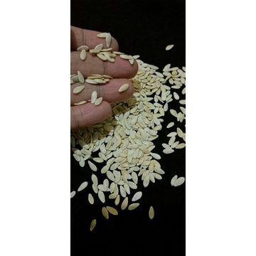 bibit timun krai / bibit krai 13gram isi 1000 biji lebih