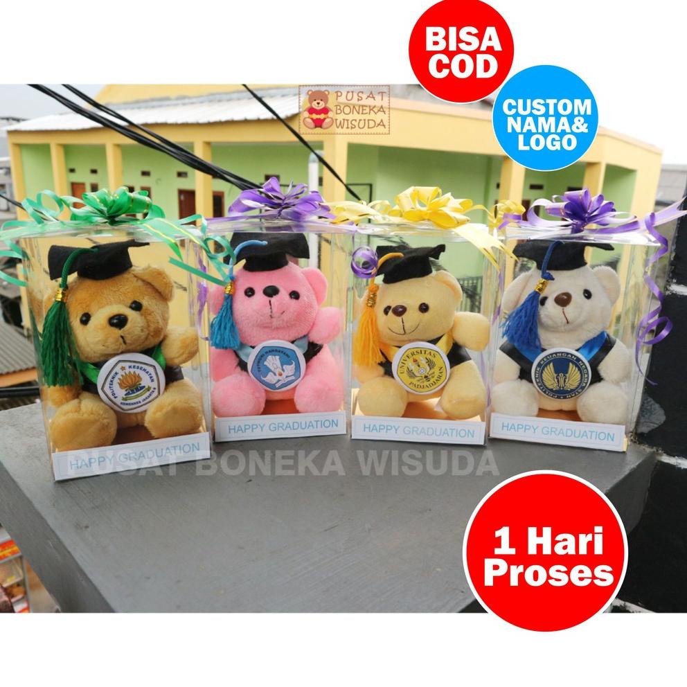 DM.05Ja23c ‣ Boneka Wisuda Teddy Bear mini Mika Hadiah Kado Tedy Bear Beruang Graduation TK PAUD SD 