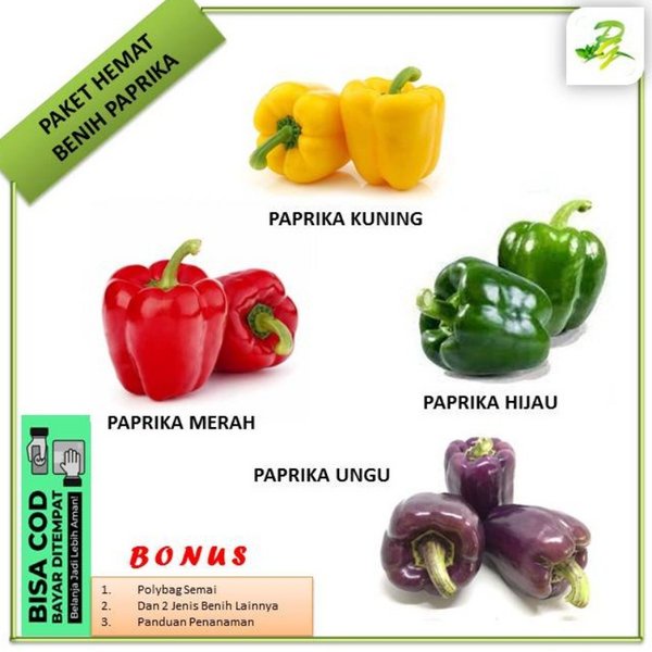 Paket Benih Bibit Biji Paprika
