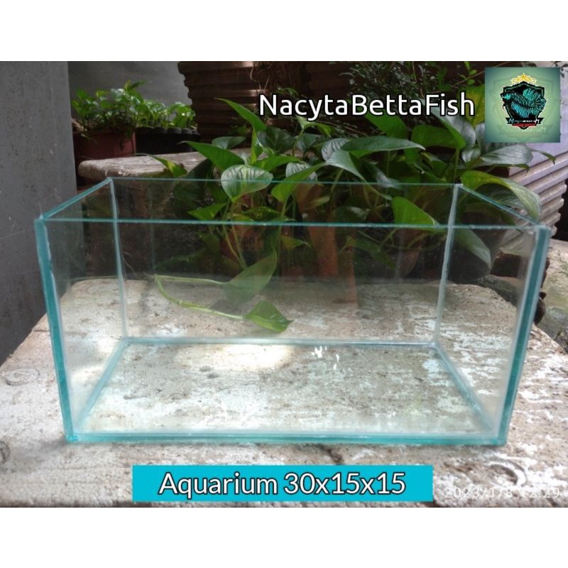 Aquarium Ukuran 30 x 15 x 15 Cm