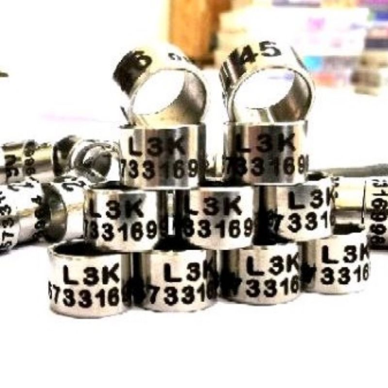 RING MERPATI BAJA LASER/RING BURUNG MERPATI BALAP/RING BURUNG MERPATI TINGGI