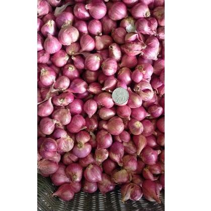 

Koded2D7p Bawang BREBES Super per 500 gram