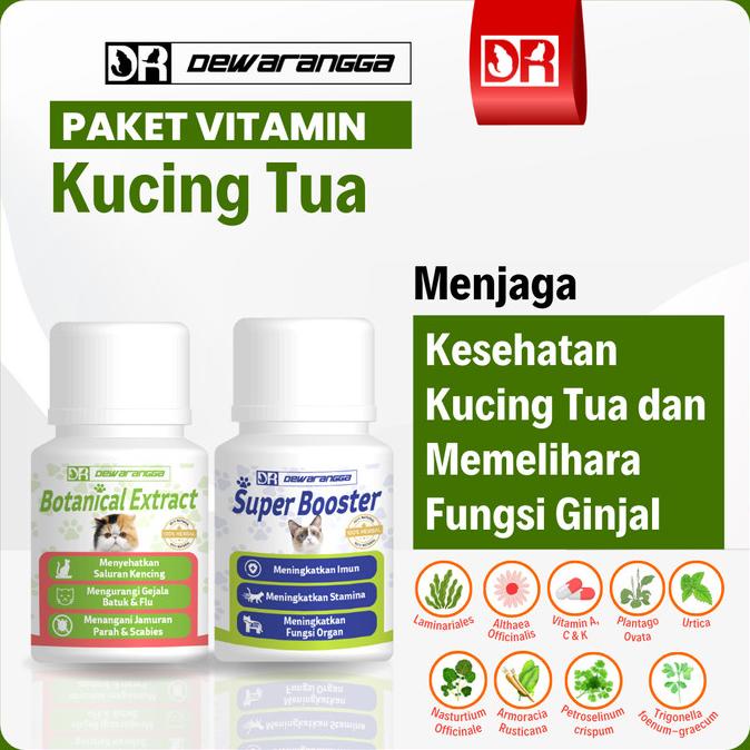 Vitamin Kucing Tua Dewarangga - Vitamin Ginjal dan Tulang Kucing