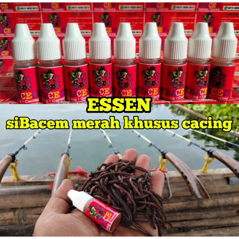 ESSEN CACING siBACEM MERAH