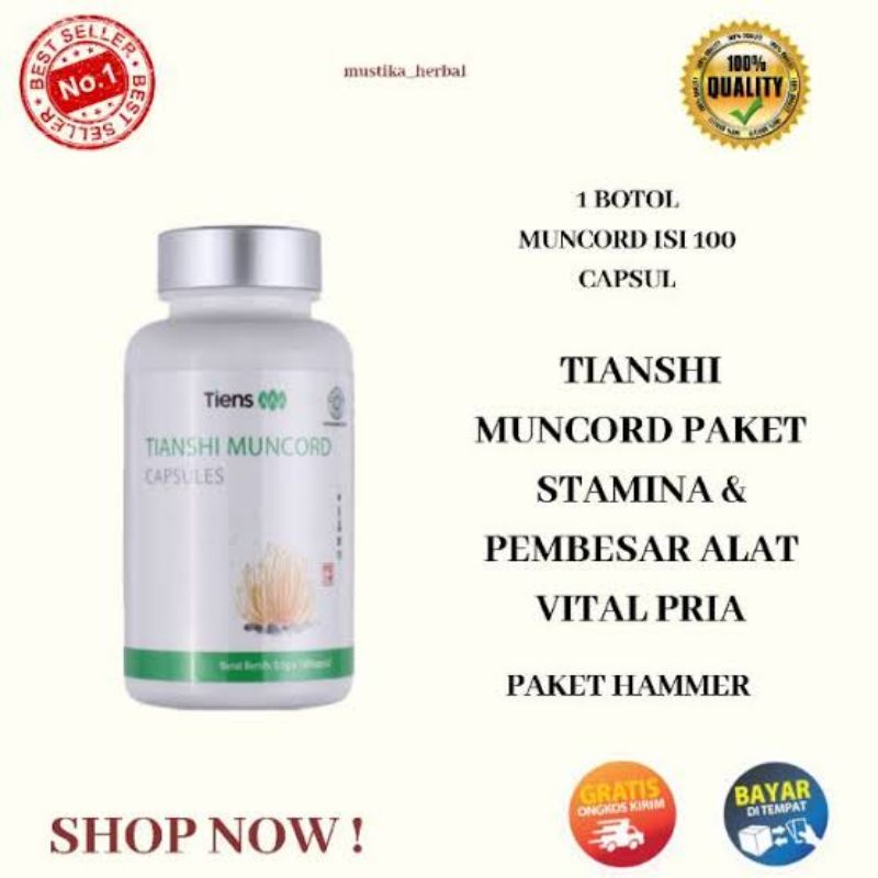 Stamina & Vitalitas Pria Dewasa