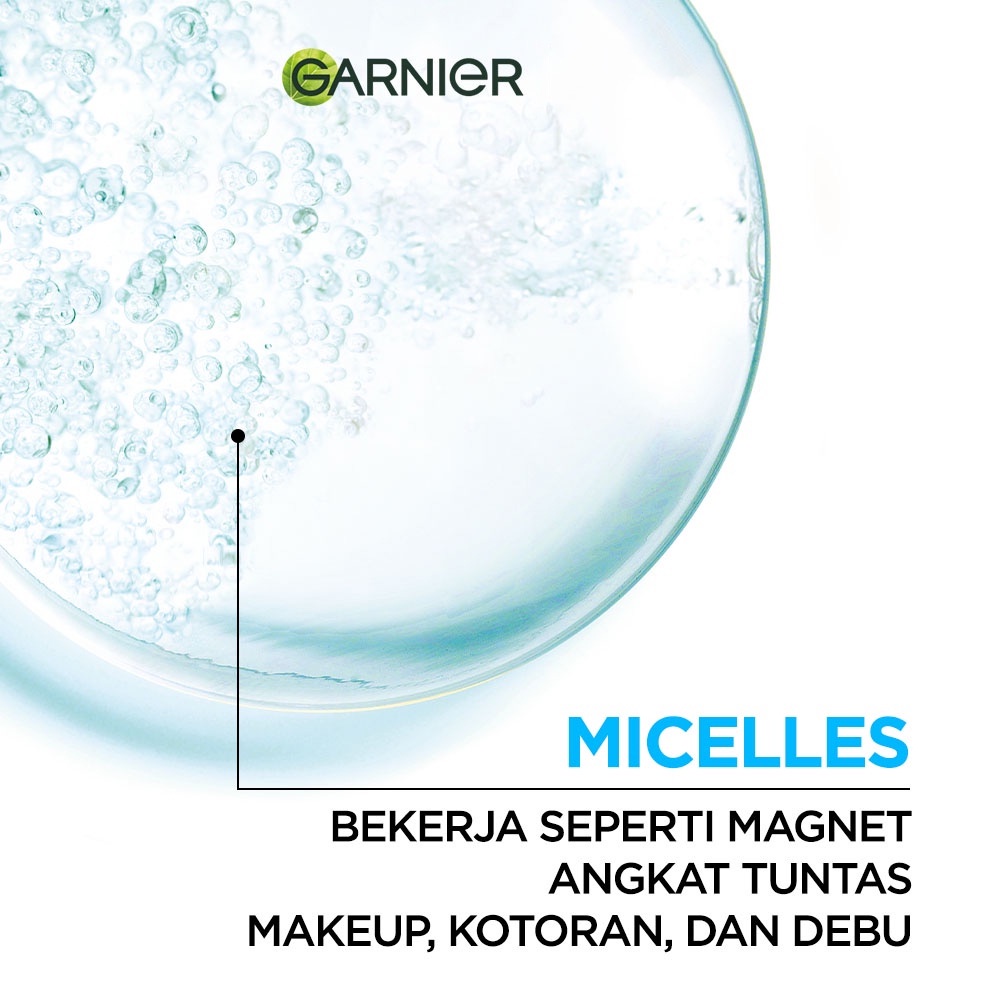 GARNIER Micellar Cleansing Water Salicylic BHA