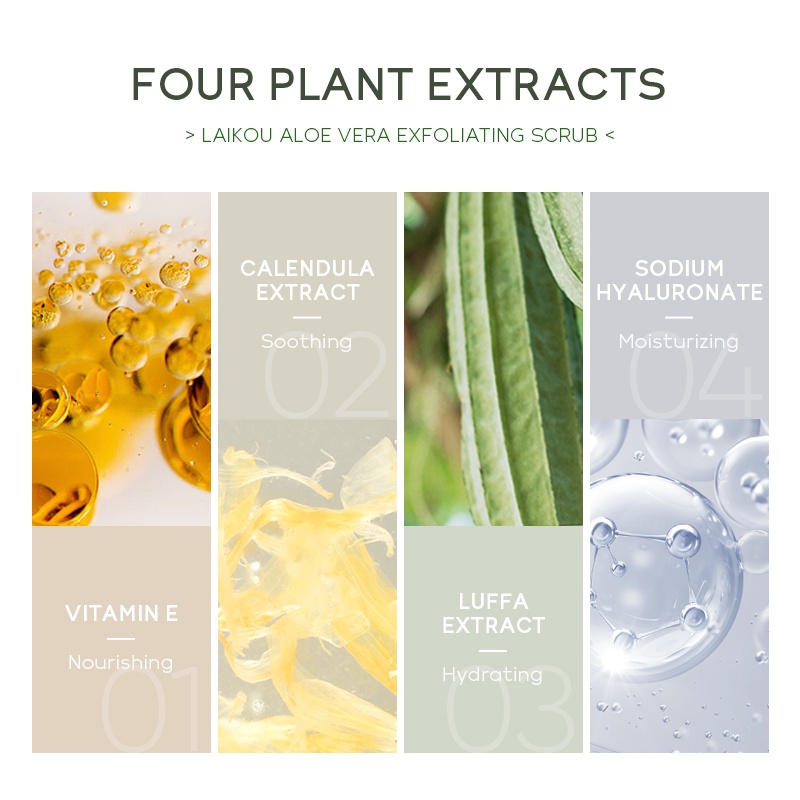 LAIKOU Aloe Vera Eksfoliasi Body Scrub Membersihkan Kulit Mati Menenangkan Jerawat Melembutkan 350g