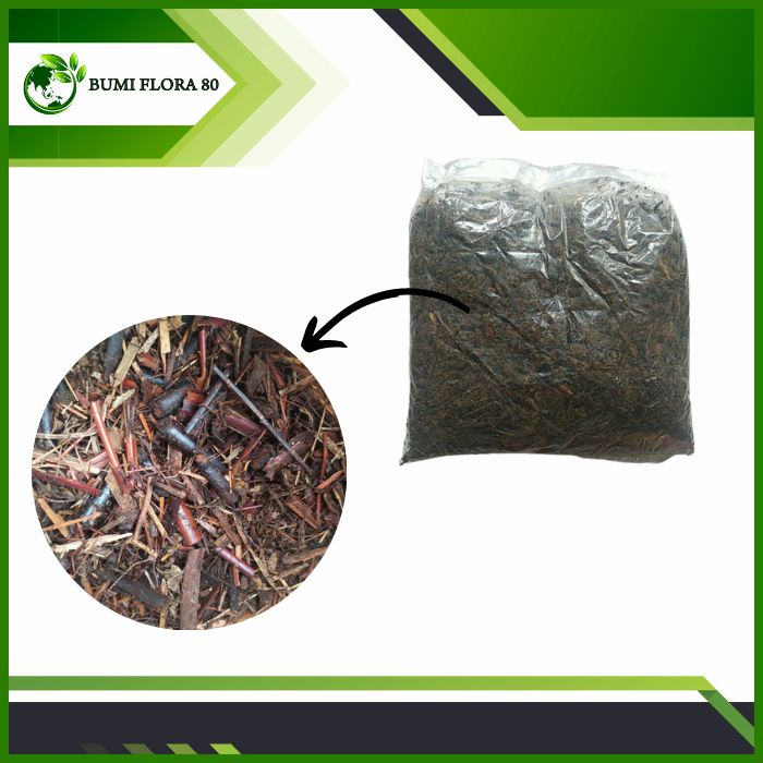 media andam  / media tanam