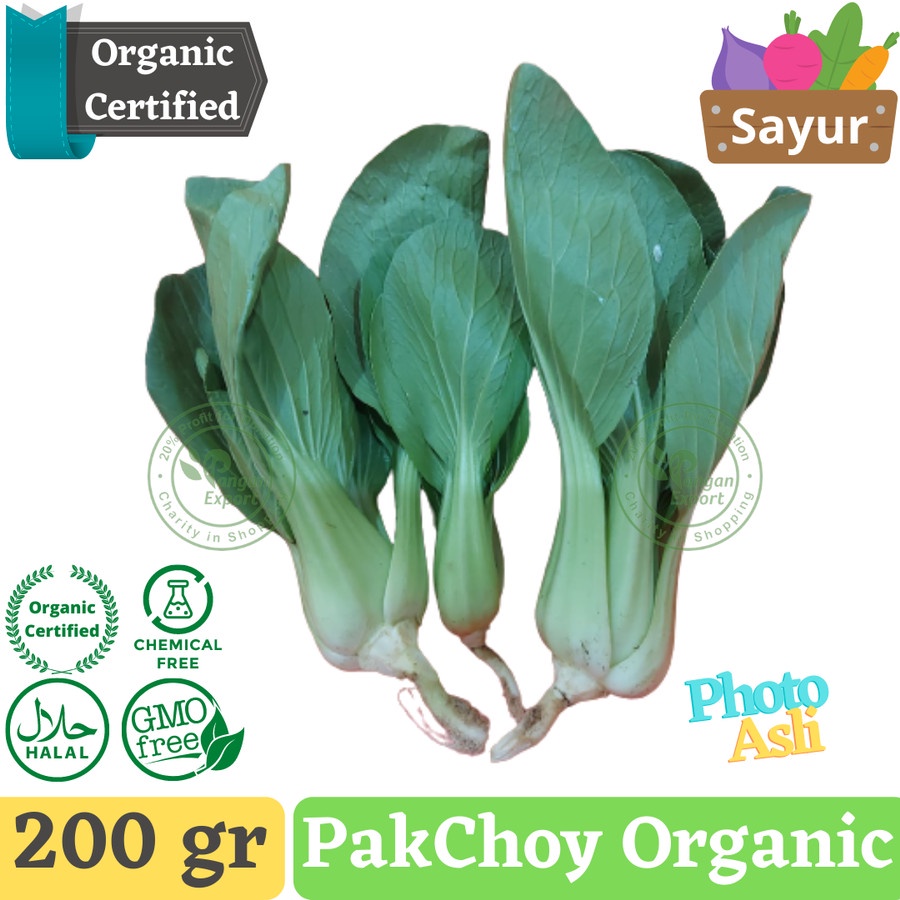 

Pakchoy / Pak Coi / Bok Choy / Pakcoy/ Buah Sayur by Pangan Export