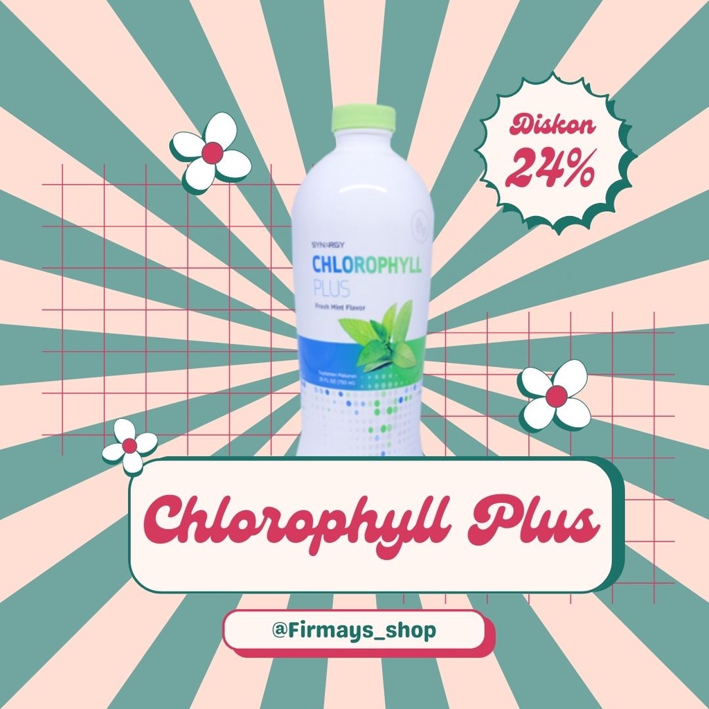 synergy chlorophyll plus fresh mint isi 730ml asli USA