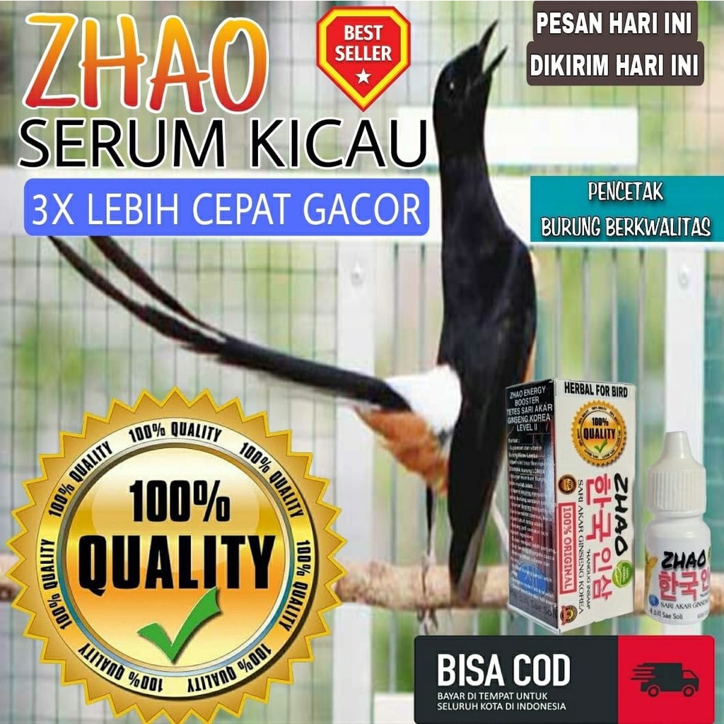 Vitamin Burung murai batu Penggacor Seketika hebatnya zhao ginseng korea  Cukup 3 Tetes Langsung Gac