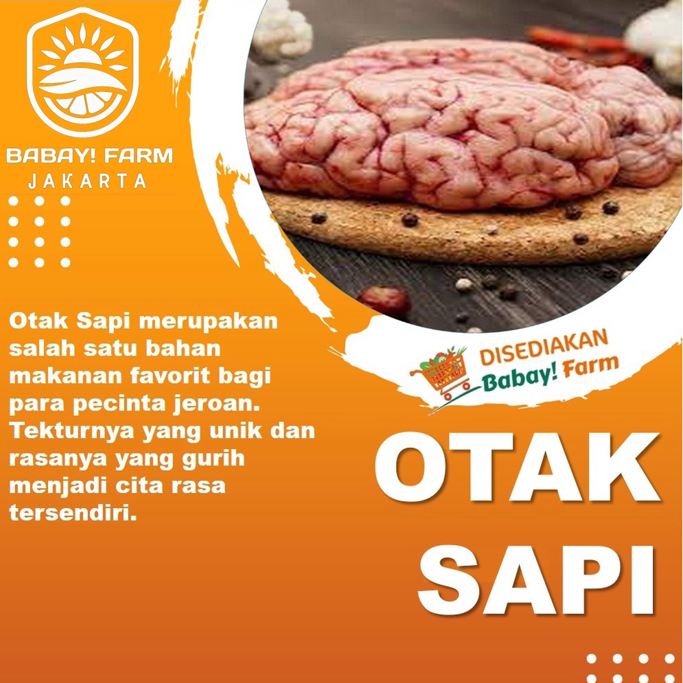 

otak sapi lokal / cow brain