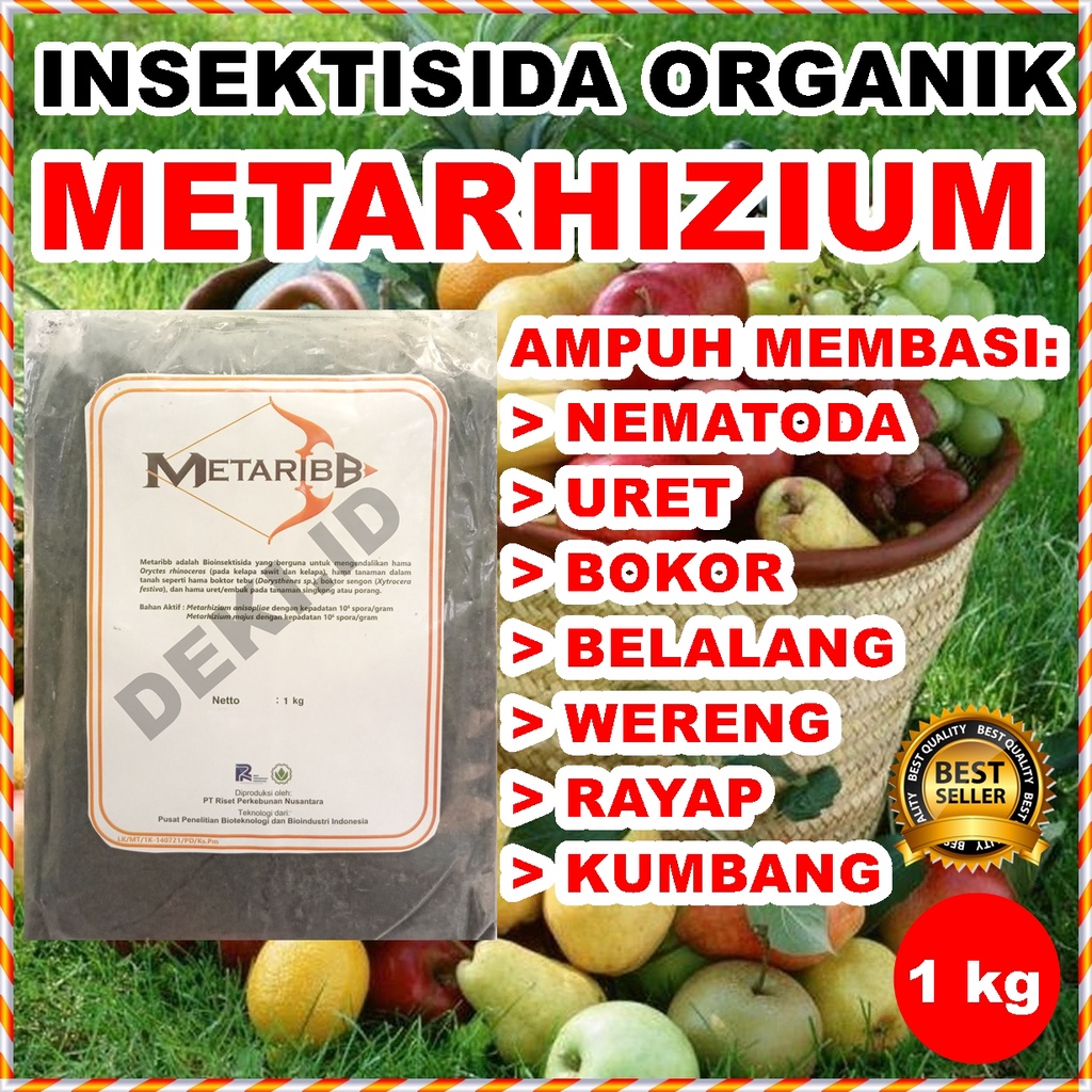 Insektisida Organik Metarhizium Metaribb 1kg Pestisida Jamur Metarizium Anisopliae Pembasmi Hama Ure