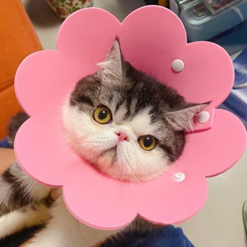 Collar Kucing Flower Pet Cone Size M FEFARM