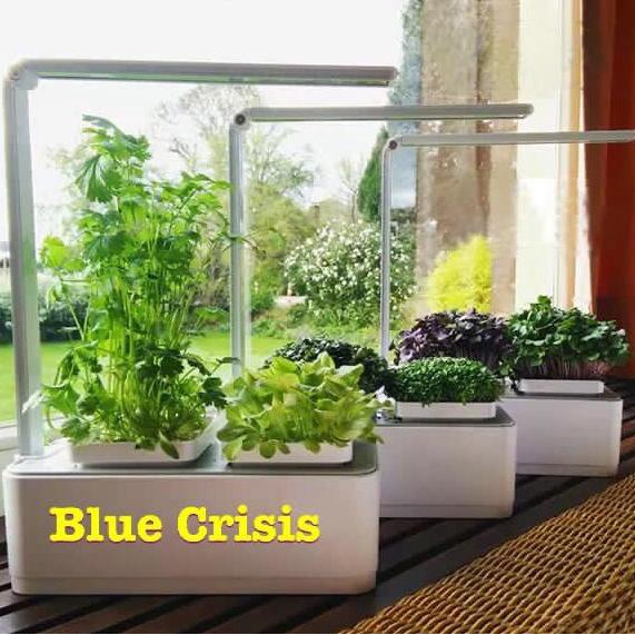 hidroponik set hydroponic set indoor mini garden with led