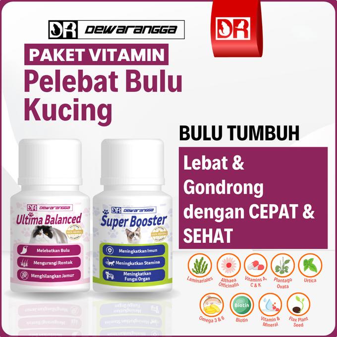 Vitamin Penumbuh Bulu Kucing Dewarangga - Vitamin Pelebat Bulu Kucing