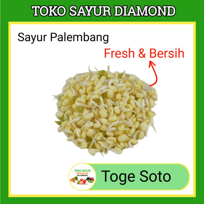 

Tauge Toge Soto
