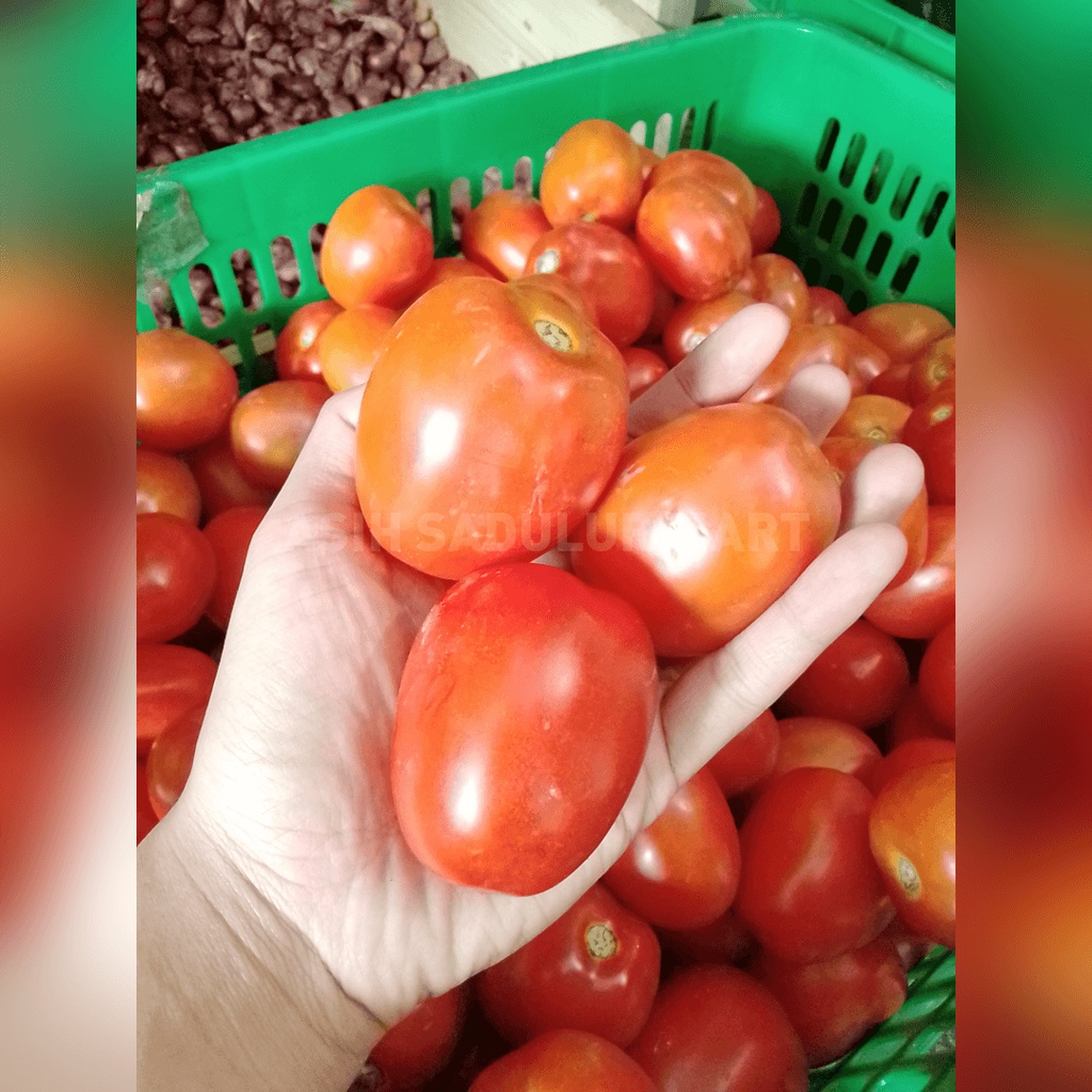 Tomat Merah 500g Promo Bandung | Asih Sadulur Mart